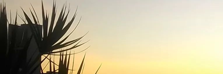 Diana banner
