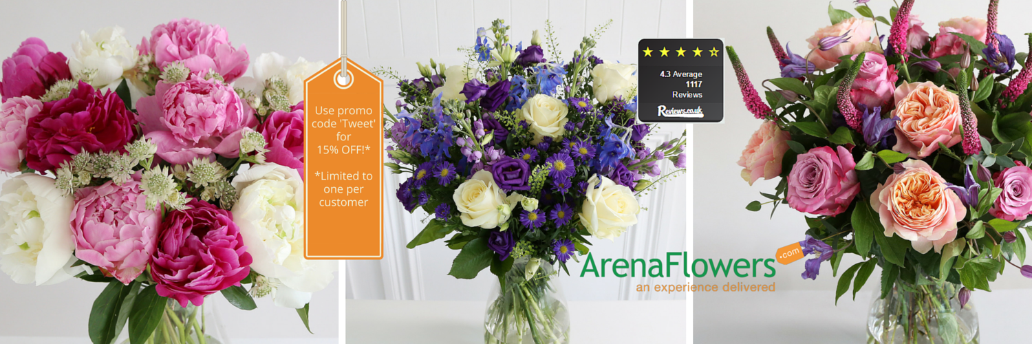 Arena Flowers (ArenaFlowers) Twitter