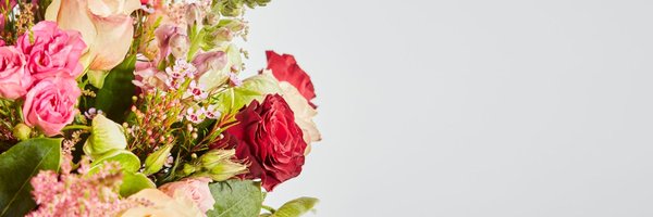 Arena Flowers Profile Banner