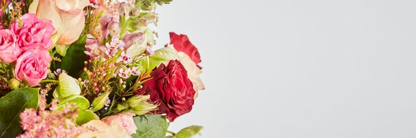 ArenaFlowers Profile Banner