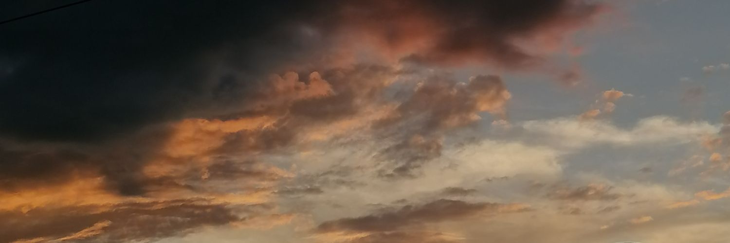 iannei banner