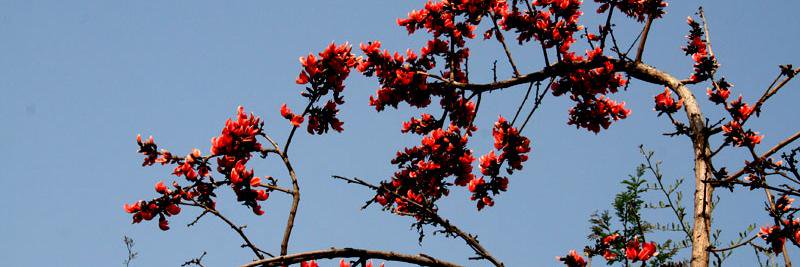 Meghdut22's profile banner image