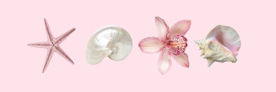 mey ❀ banner