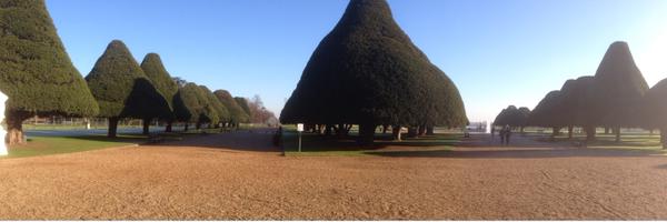 bradfehler Profile Banner