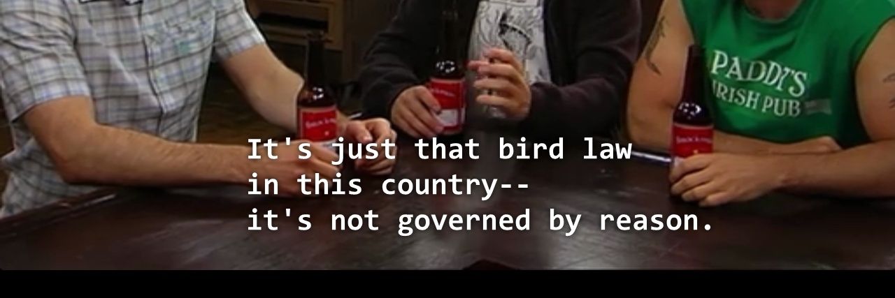 freeloader bird banner