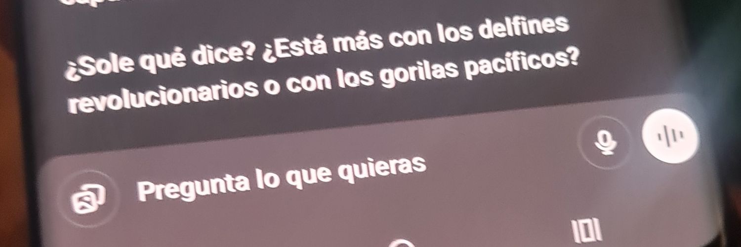 Sol Represión banner