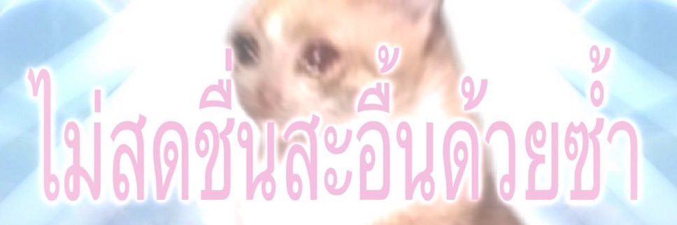 비비 banner