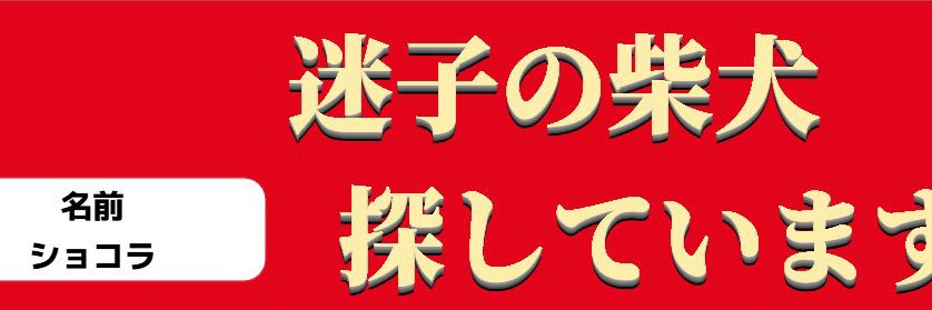 junjunjun1110's profile banner image