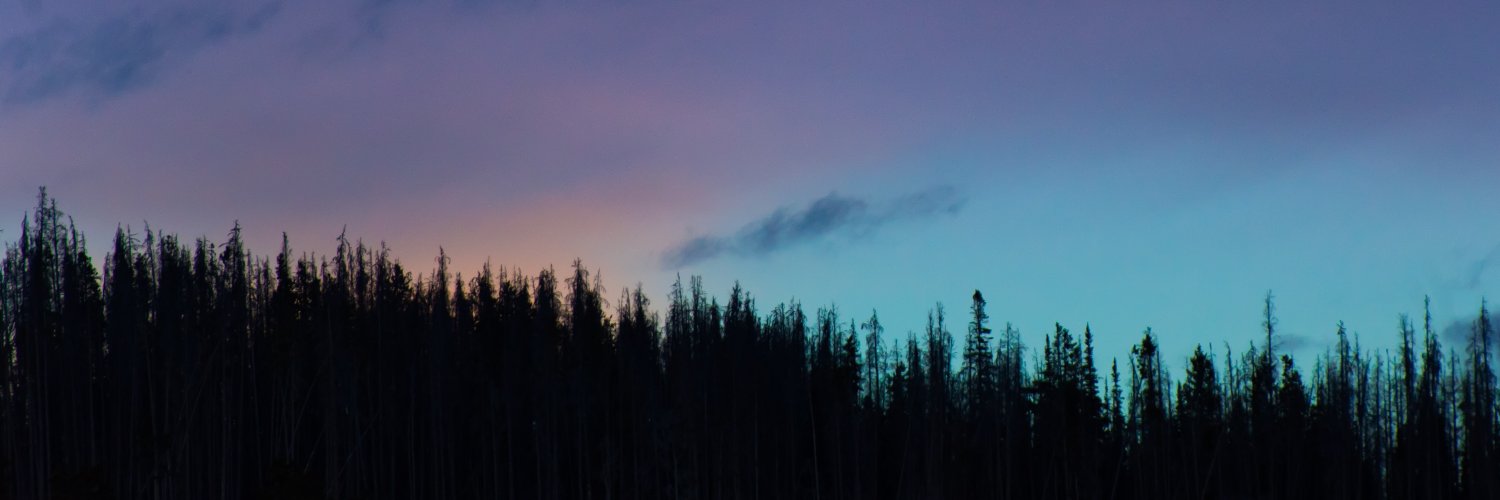 TessOnline's profile banner image