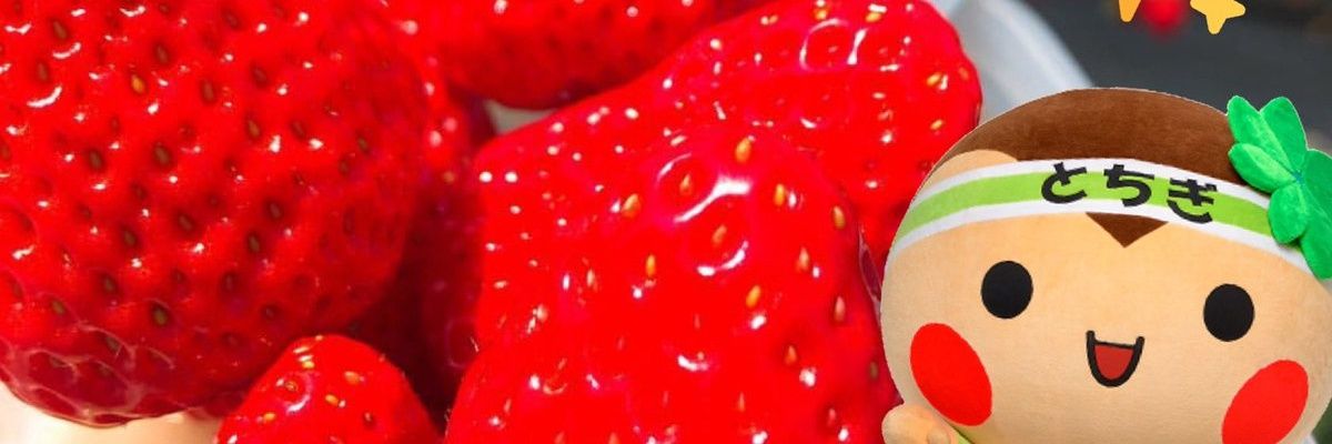 ay1027dd's profile banner image