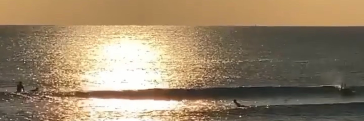 The Dermopal Group banner