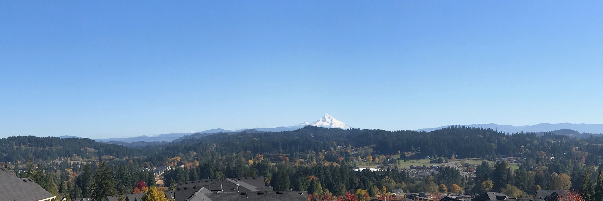 patricksheehan's profile banner image
