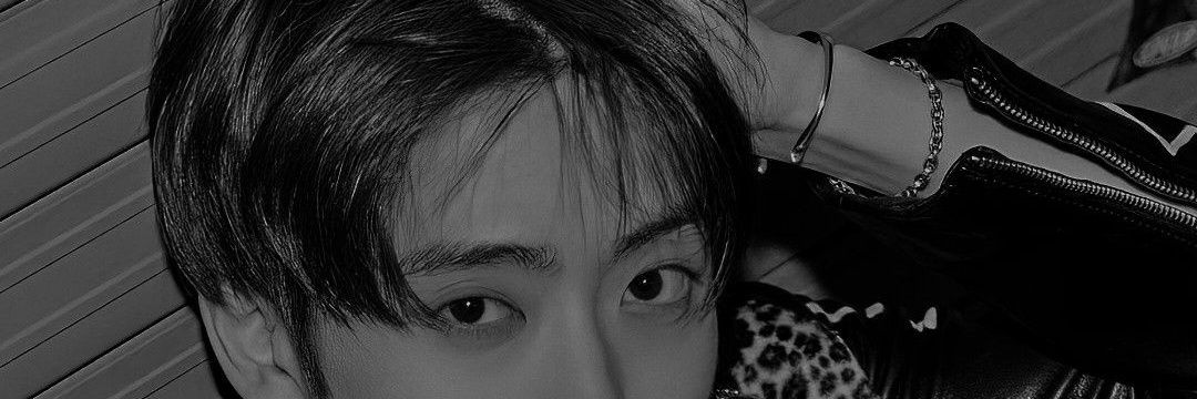 🐈 banner