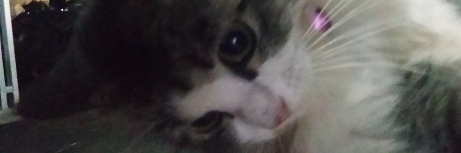 Balianazhari's profile banner image