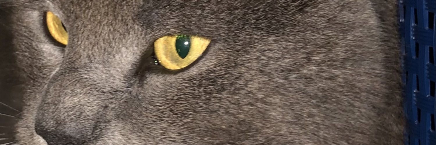 Mew banner