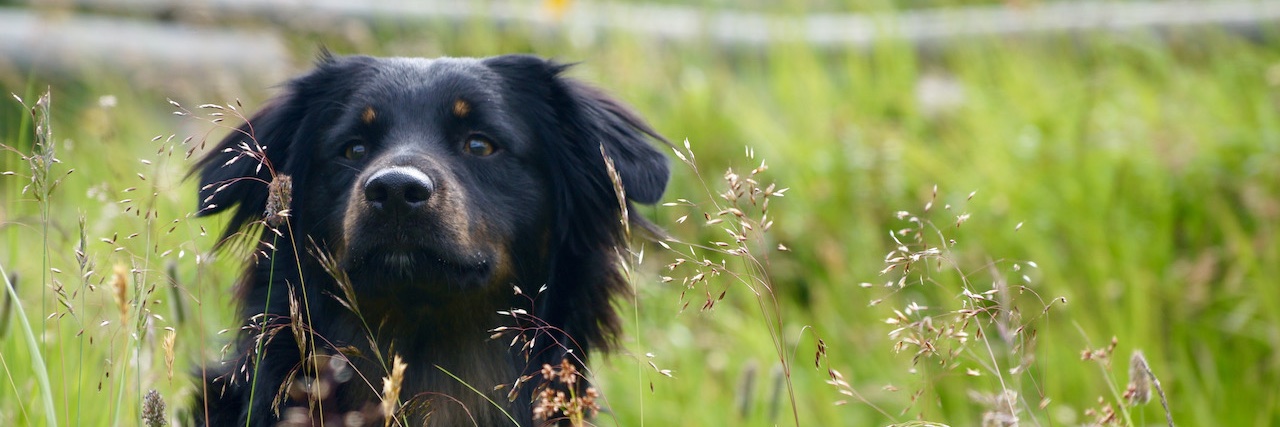 fridward's profile banner image