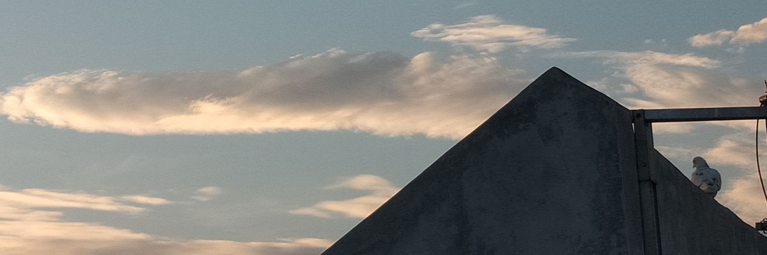 RyuuugySa's profile banner image