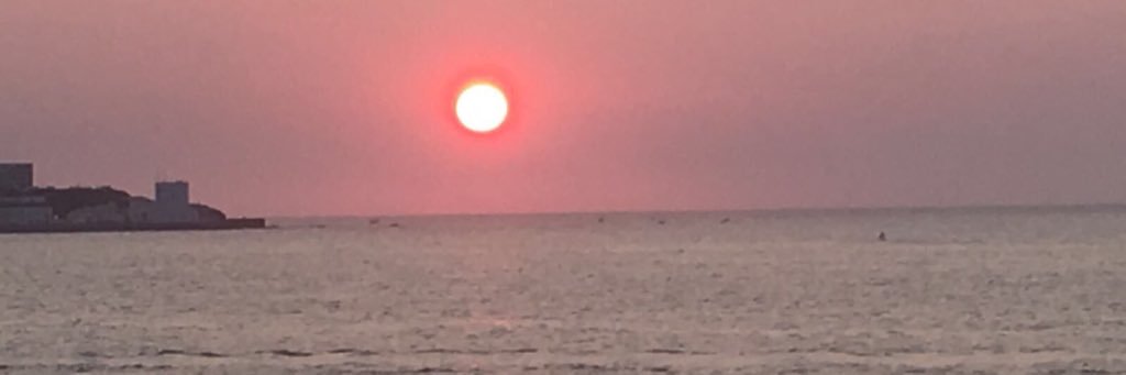 burcin's profile banner image