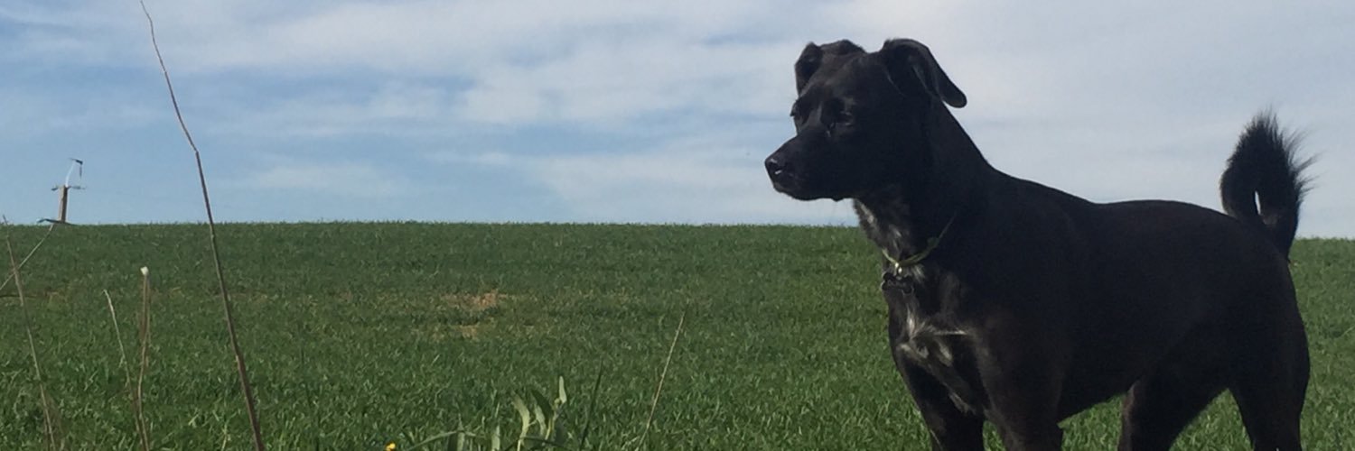 laseca22's profile banner image