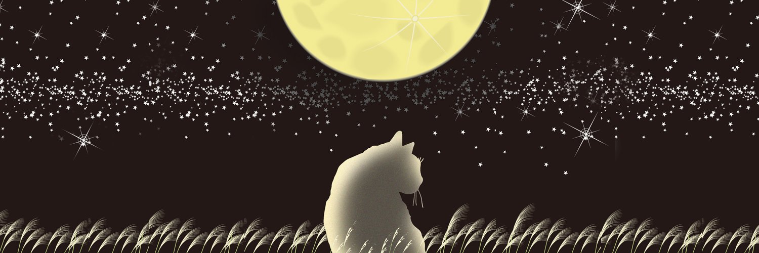 SELICA2cat's profile banner image