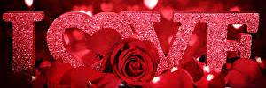 FloresStaMaria's profile banner image