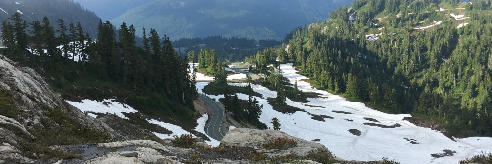 Washington State DOT banner