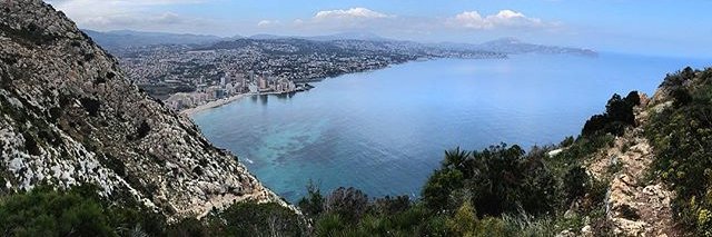 Капучинатор для матчи (Тёма С.) banner