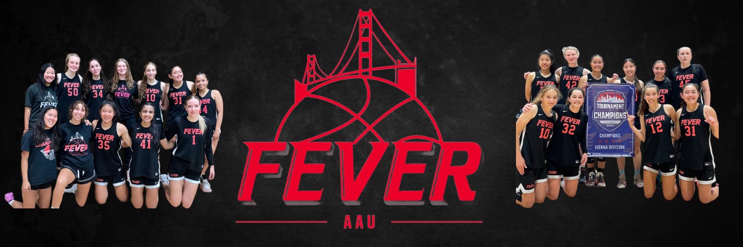 Fever_Basketball banner