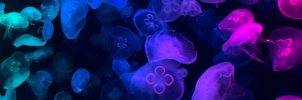 iamluknammm Profile Banner