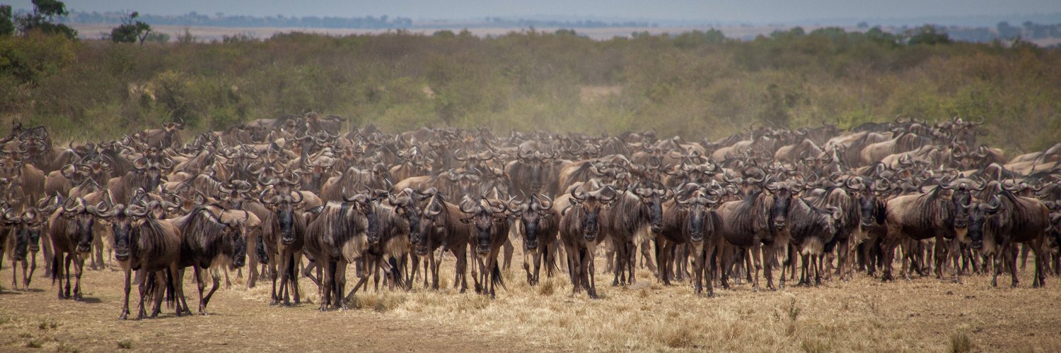 Weldon Kennedy banner