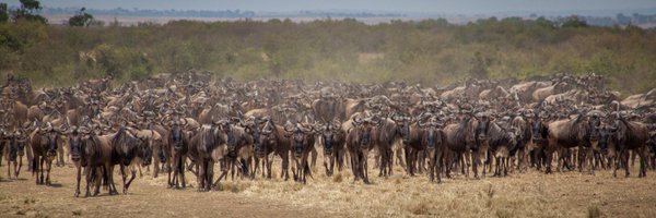 weldonwk Profile Banner