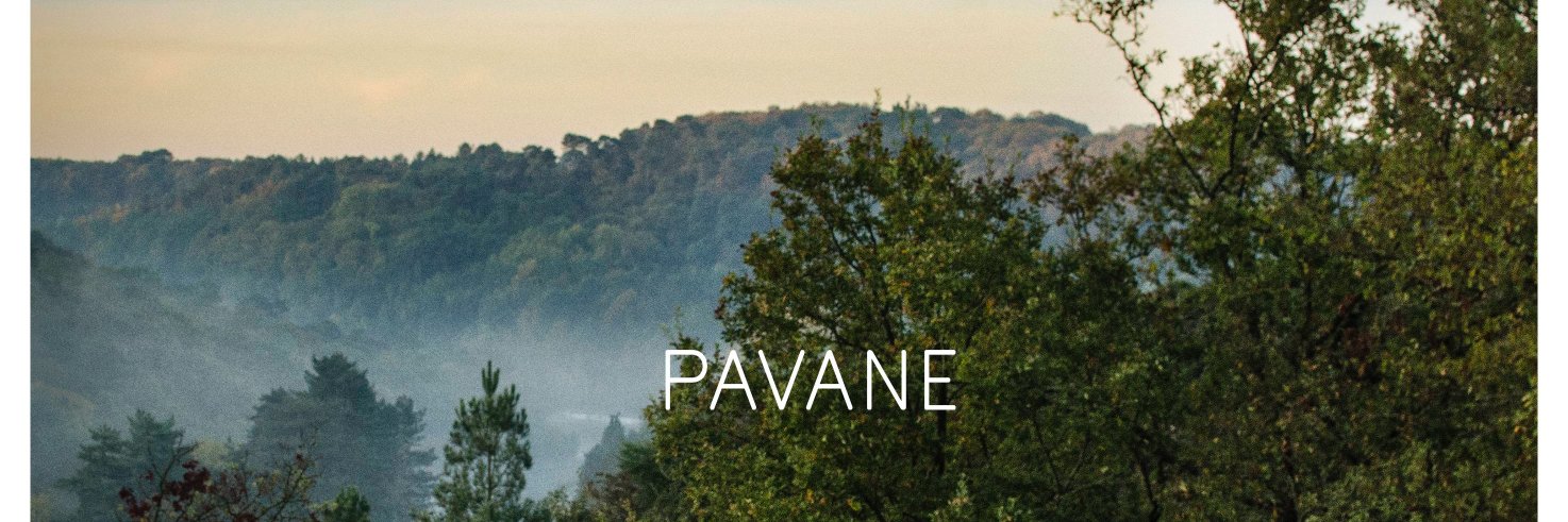 pavanemusic's profile banner image