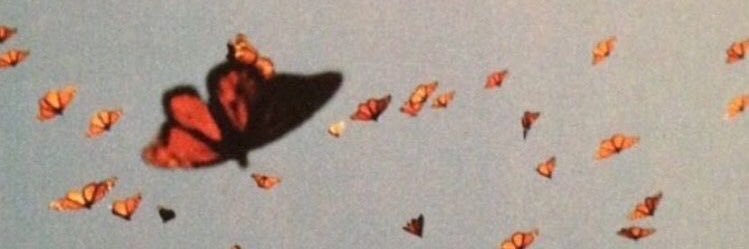 Juliah Wild ☼⩕☽ banner