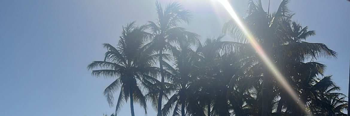 luulimolinari's profile banner image
