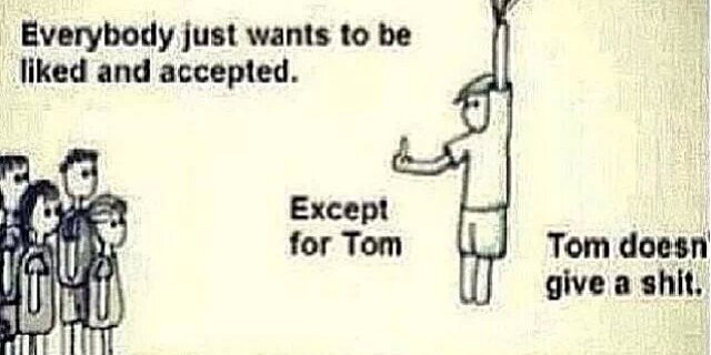 Tommytodge's profile banner image