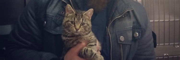 DomElBestial's profile banner image