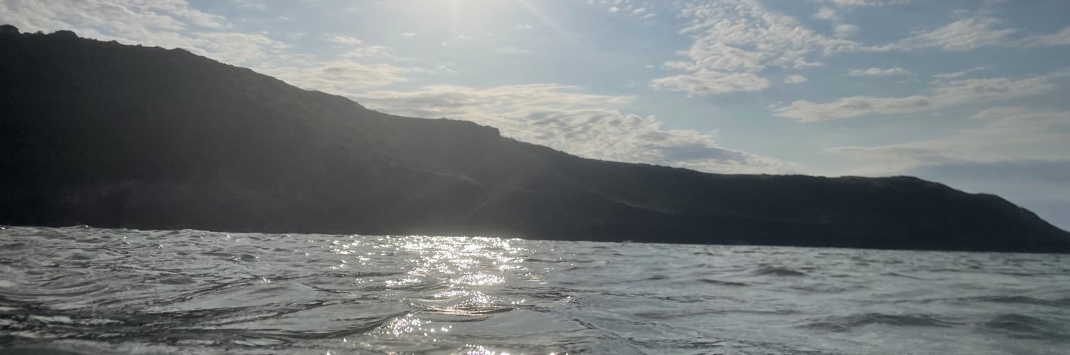 Sarah Morgan Jones banner