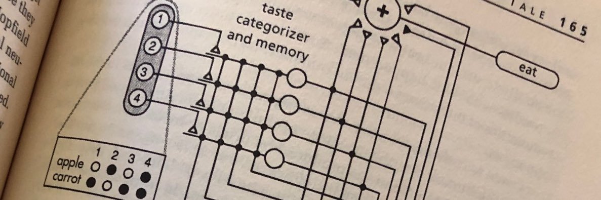 Clemens Marschner banner