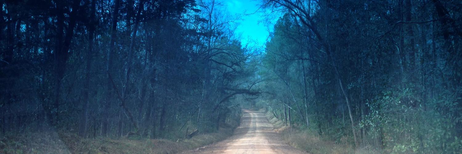 backcitywoods's profile banner image