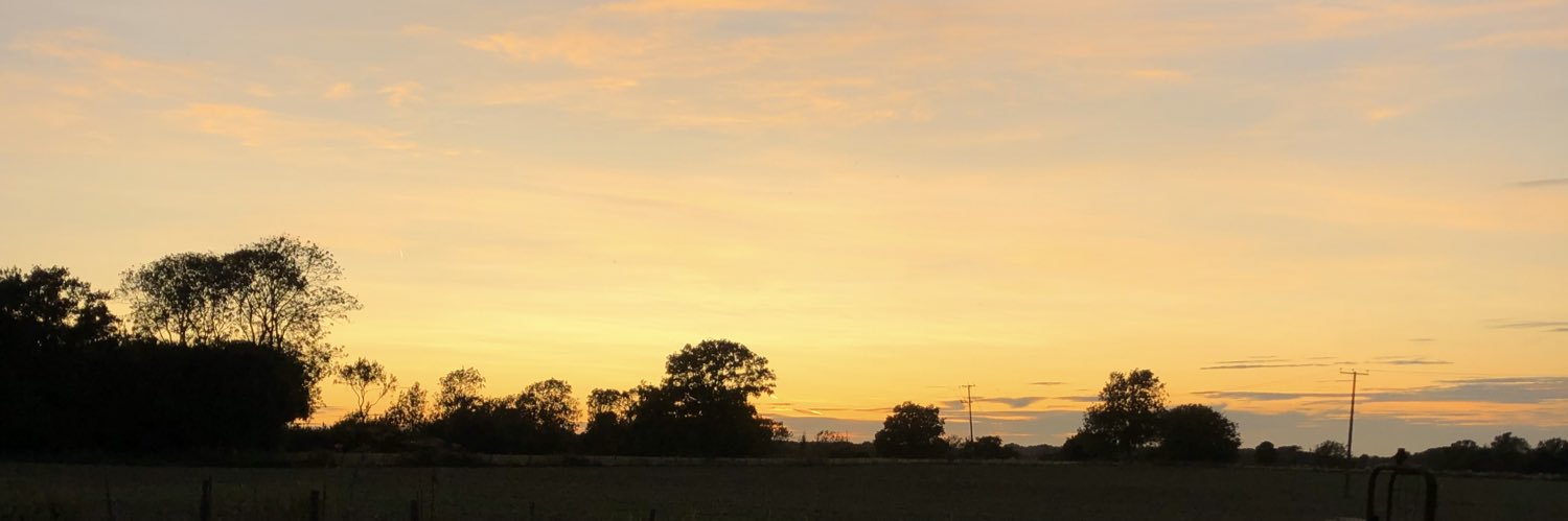 Alexander Pankhurst banner