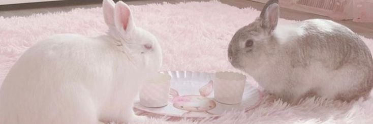 eslam🎀🦋's banner