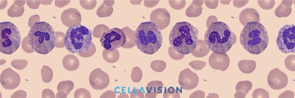 EducatorSteph Profile Banner