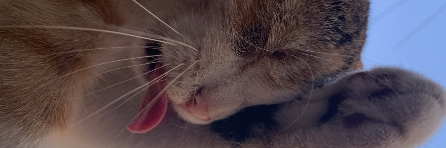 natimolito's profile banner image