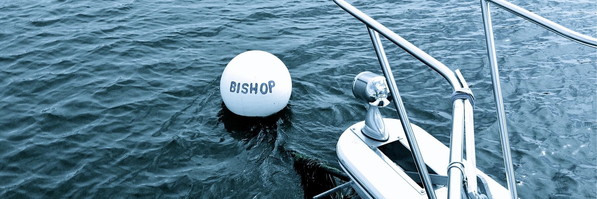 natiebishop's profile banner image