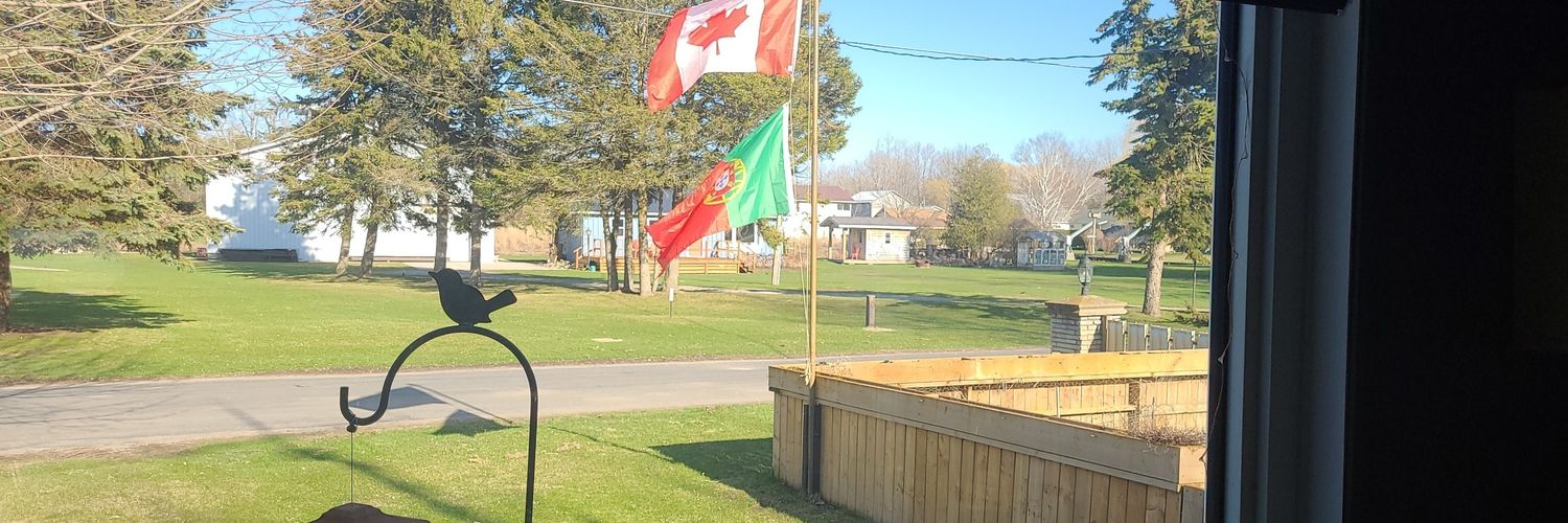 matthew correia banner