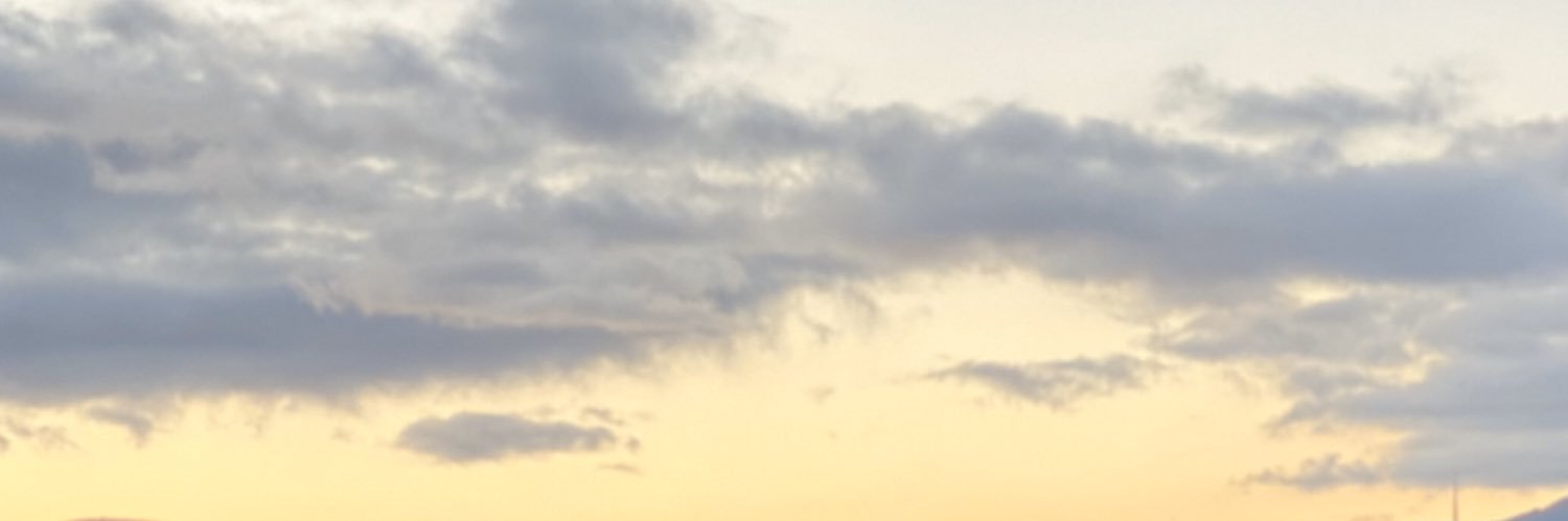 Daniel Gutiérrez V. banner