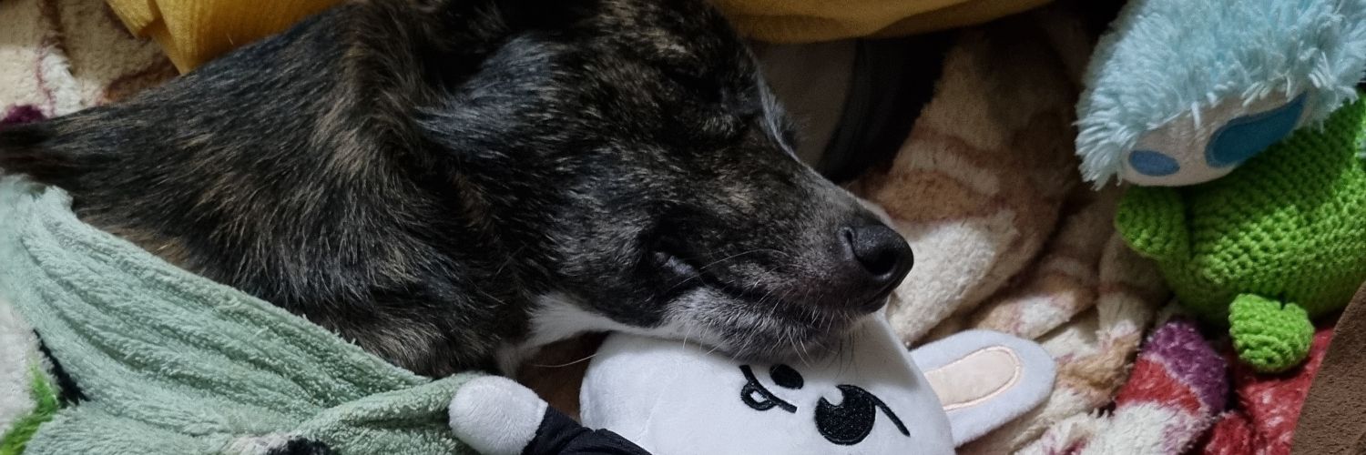 milflin0's profile banner image