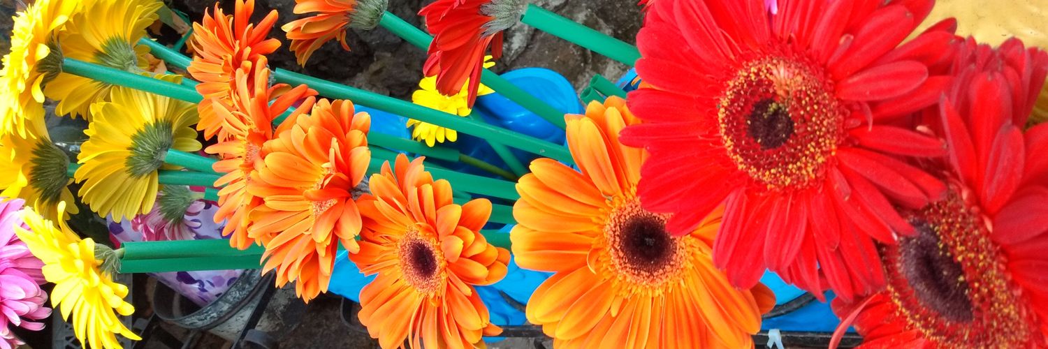 weblade's profile banner image