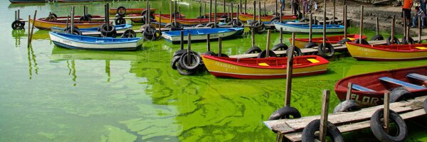 spanishlanguage Profile Banner