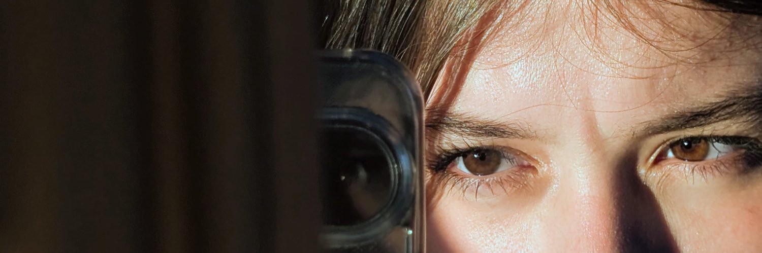ludgateirl's profile banner image